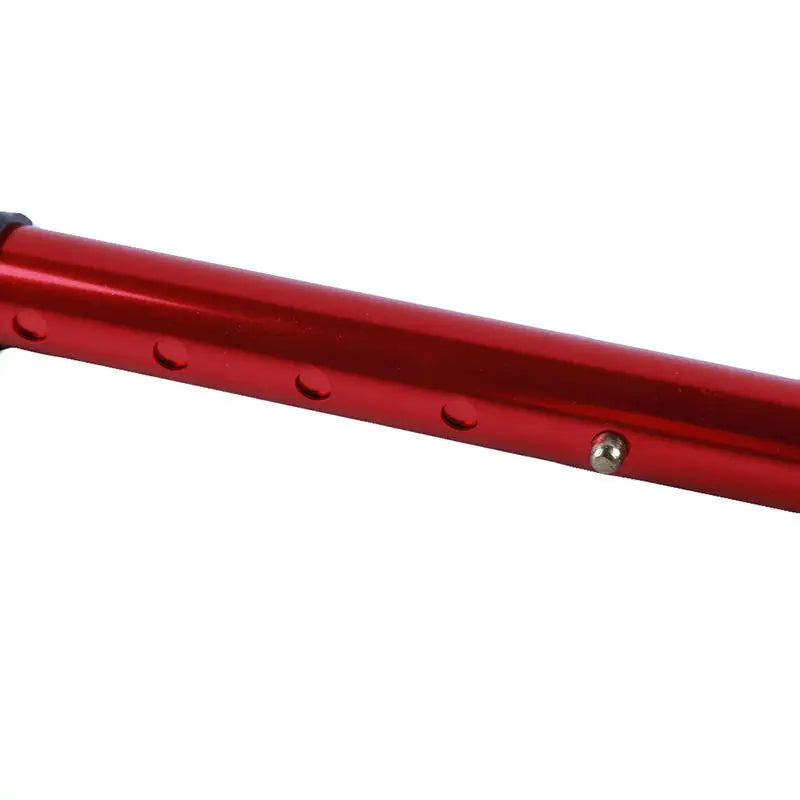 Gearly Hiking Poles - Alluminium (Telescopic)